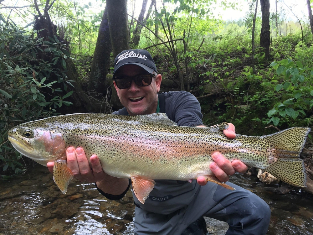 Fishing Reports and Outfitters Blog - Wildwood Outfitters- Fly